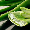 EkoMedica ALOE 99,8%